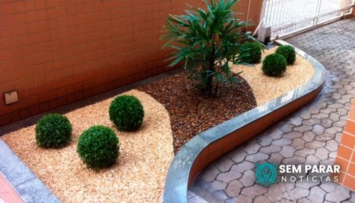 Conheça as plantas para um Jardim lindo