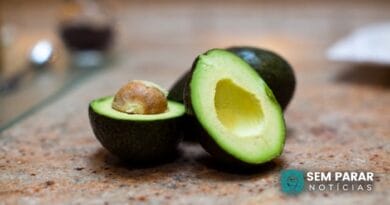 Receitas com abacate