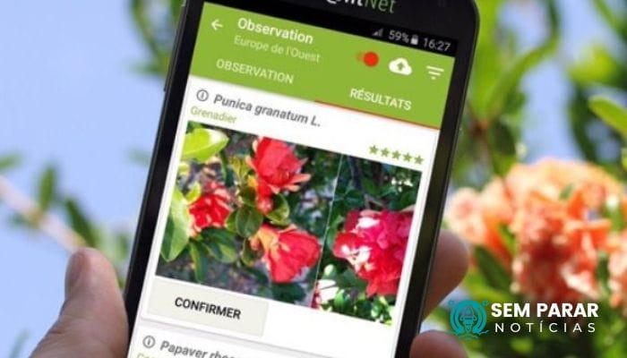 Dicas de App que descobre nome de plantas