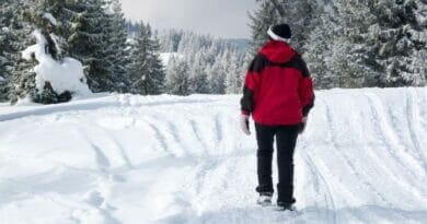 Viagem de Inverno Destinos Perfeitos para Aproveitar a Neve.