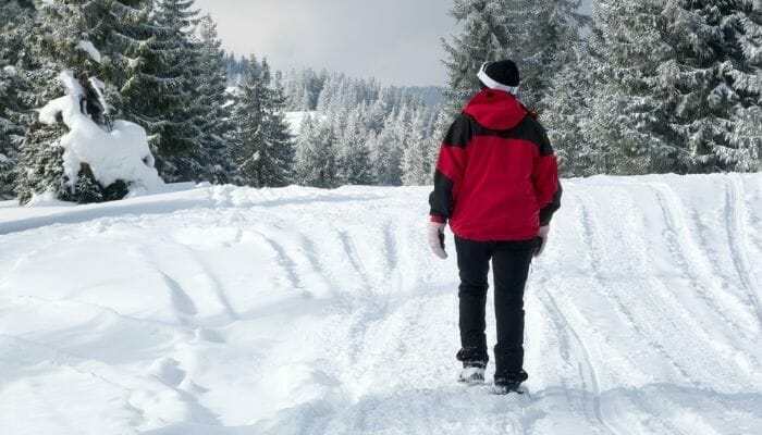 Viagem de Inverno Destinos Perfeitos para Aproveitar a Neve.