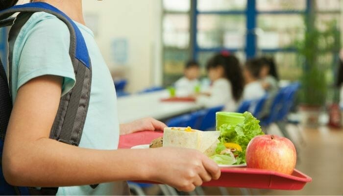 Alimentação Escolar: Segurança Alimentar na Educação Básica.