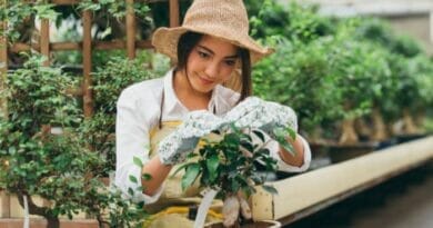 Jardim Sustentável Práticas para Cultivar de Forma Eco-friendly.