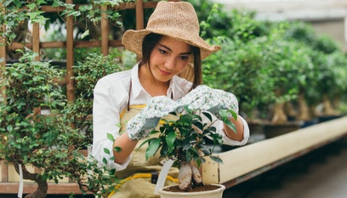Jardim Sustentável Práticas para Cultivar de Forma Eco-friendly.