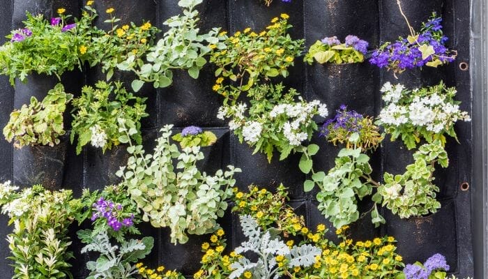 Saiba como Montar um Jardim Vertical Ideias Criativas e Práticas.