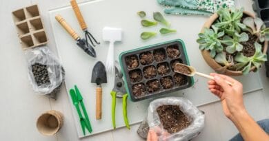 Saiba como Propagar Plantas Aprenda Técnicas de Multiplicação