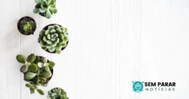 Aplicativos para Cuidar do Seu Jardim Seu Espaço mais Verde