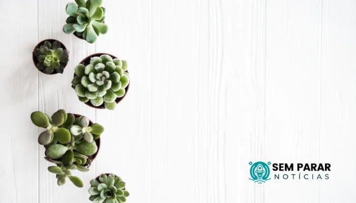 Aplicativos para Cuidar do Seu Jardim Seu Espaço mais Verde