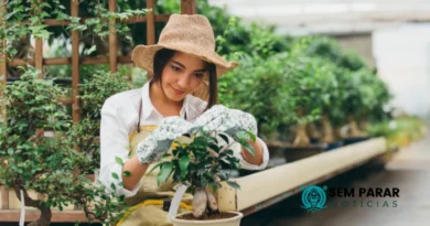 Curso de Jardinagem Cultivando Beleza e Sustentabilidade