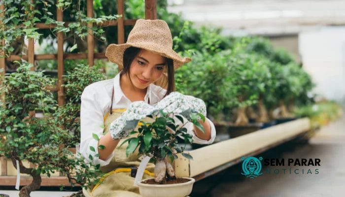 Curso de Jardinagem Cultivando Beleza e Sustentabilidade