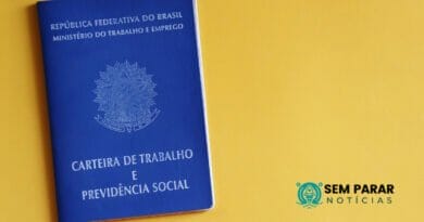 Entendendo o Seguro-Desemprego Requisitos e Funcionamento