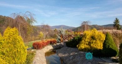 Descubra Como Criar e Manter um Jardim Sensorial Encantador