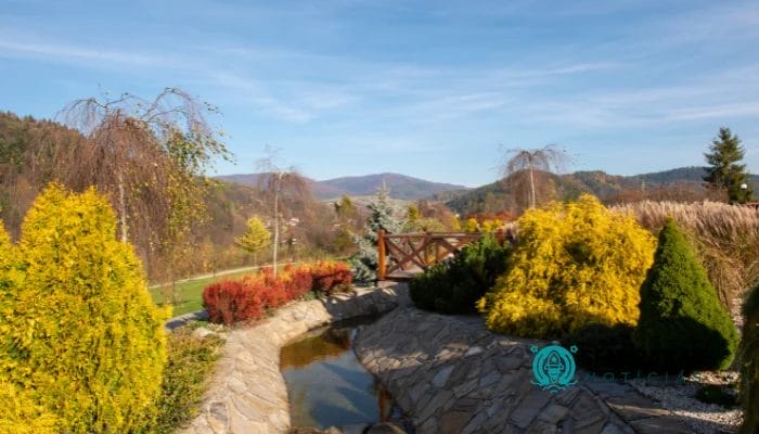 Descubra Como Criar e Manter um Jardim Sensorial Encantador