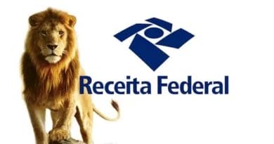 Guia Descomplicado Para Declarar o Imposto de Renda em 2024